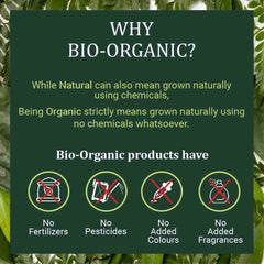Bio Organic Brahmi Leaf Powder 100gm