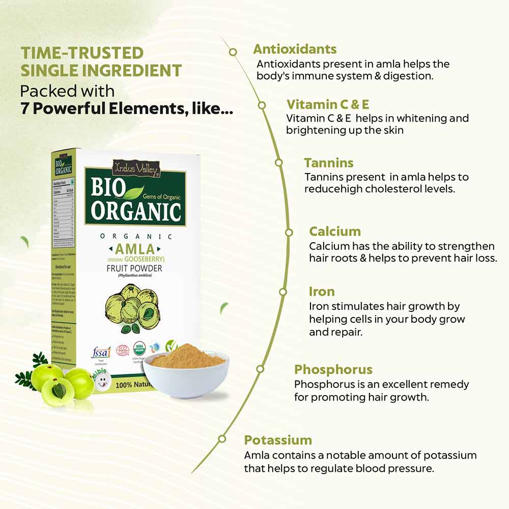 Bio Organic Amla Fruit Powder - Pack of 4